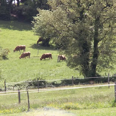 D'hotes Domaine De La Trille Bed & Breakfast