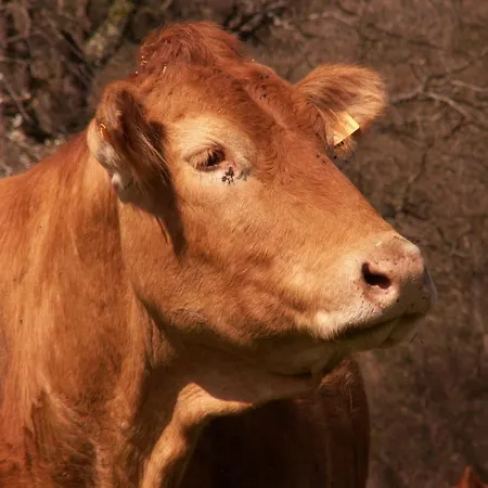 D'hotes Domaine De La Trille