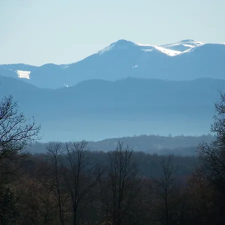 D'hotes Domaine De La Trille
