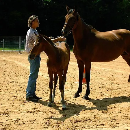 D'hotes Domaine De La Trille Couette-café