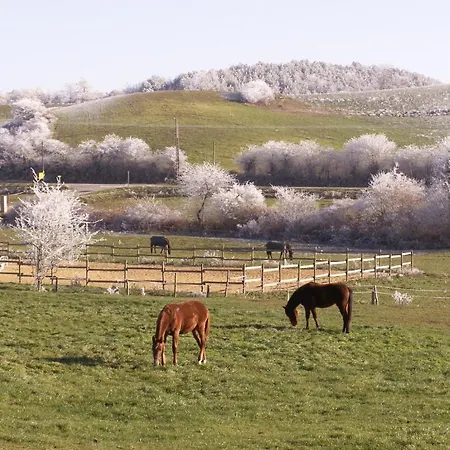 Couette-café D'hotes Domaine De La Trille Mirepoix (Ariege)