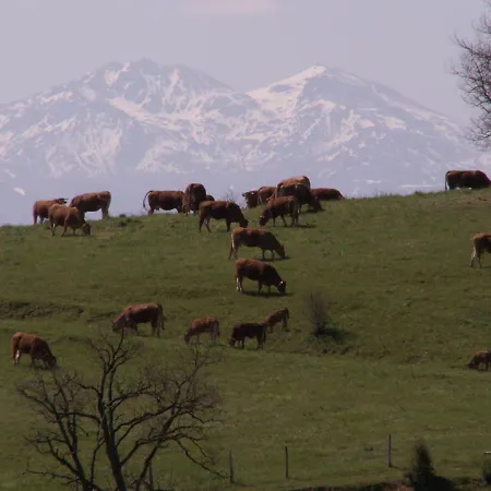 D'hotes Domaine De La Trille Couette-café *