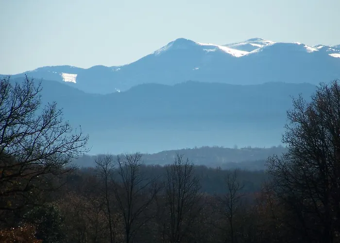 D'hotes Domaine De La Trille