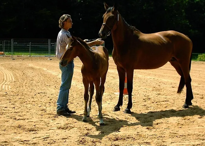 D'hotes Domaine De La Trille Bed & Breakfast