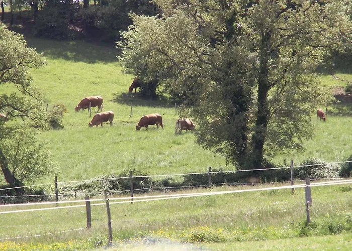 D'hotes Domaine De La Trille Bed & Breakfast