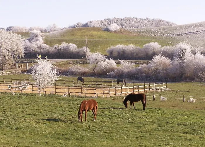 Bed & Breakfast D'hotes Domaine De La Trille Mirepoix (Ariege)