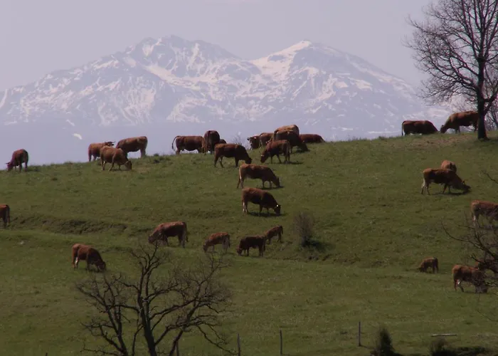 D'hotes Domaine De La Trille Bed & Breakfast *